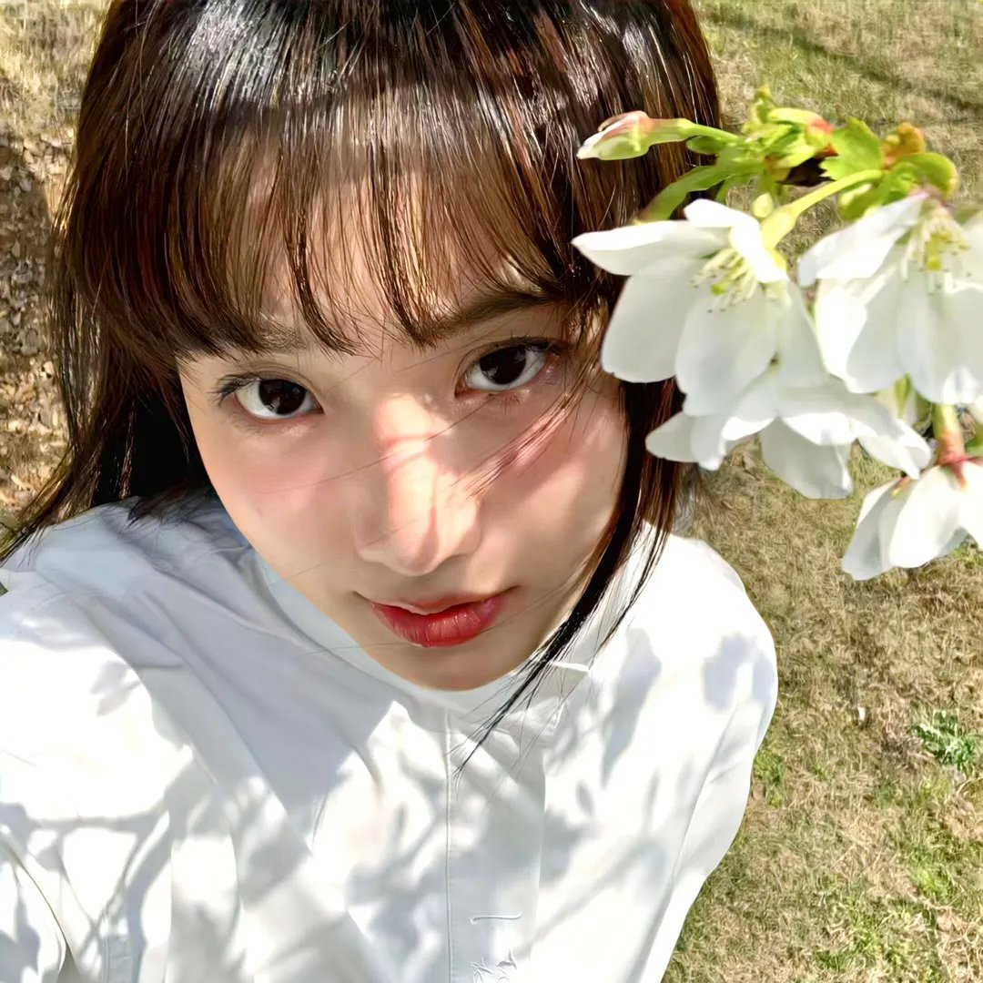 饿犬蓝调